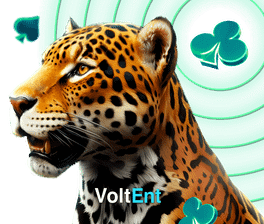 VoltEnt Network Promotion